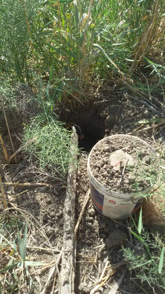 22549719_2092564800973014_7972965294938668839_n