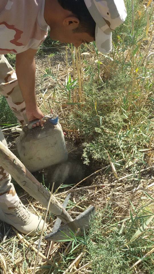 22549852_2092564744306353_7256606931386265490_n