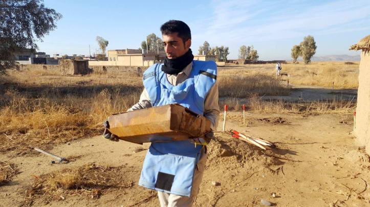 23331504_1454231274696929_30855437376772311_o