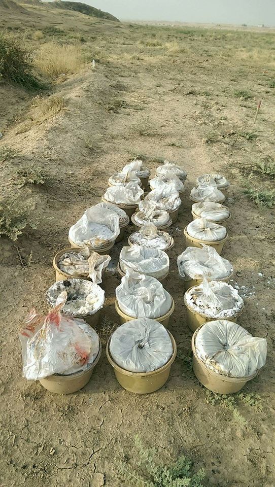 23376639_378557809240957_6487740725422867643_n