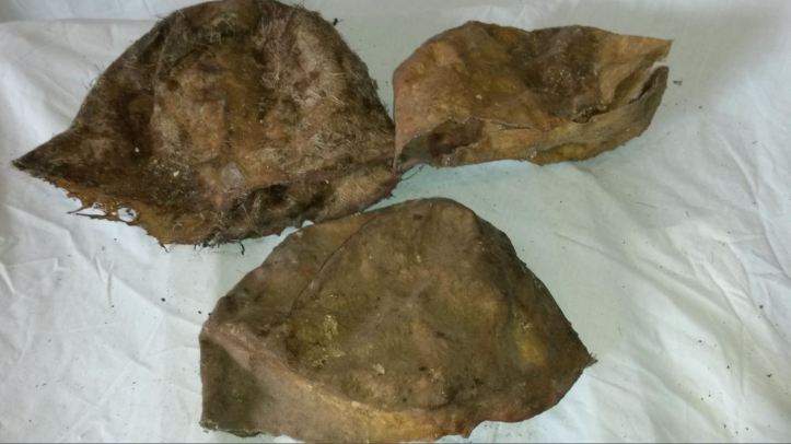 These items in our collection, taken from Taliban fighters, fake rocks made from fibreglass to cover IED's.