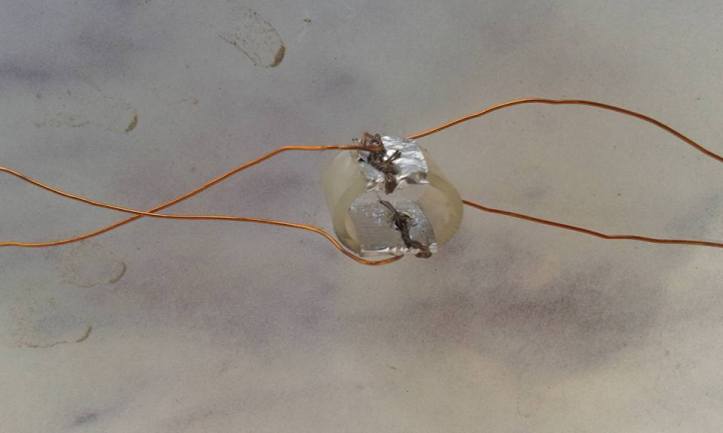 13895374_527959514064471_4270583247205345846_n