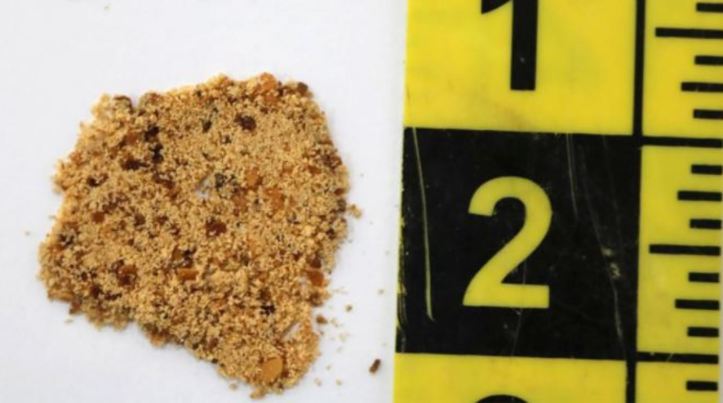 granular explosive from one of the suicide belt_s charges. Spectral analysis identified it as TNT, one of the most common military high explosives. Credit Ernest Barajas, Jr. (2)