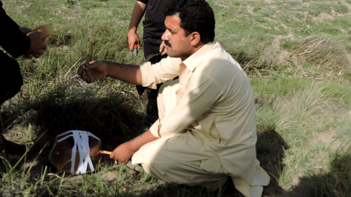 30952652_221400565283719_284149582_o