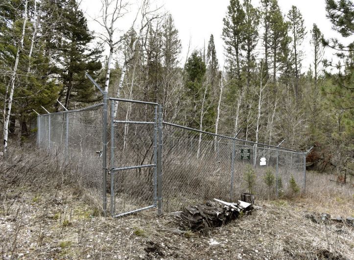Shed 7 where cabin stood