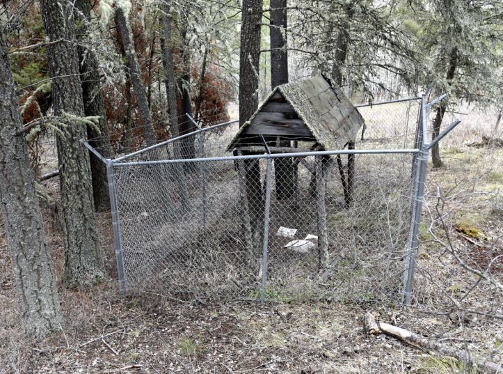 shed - unabomb - Lincoln 20 years after the Unabomber arrest
